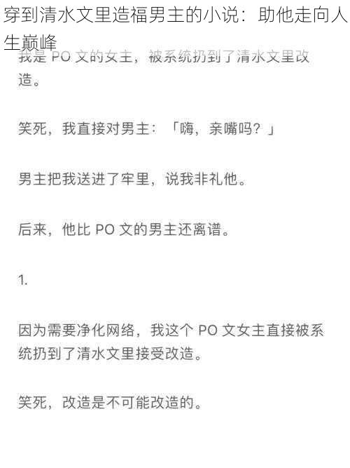 穿到清水文里造福男主的小说：助他走向人生巅峰