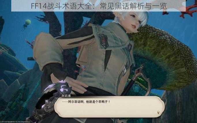 FF14战斗术语大全：常见黑话解析与一览