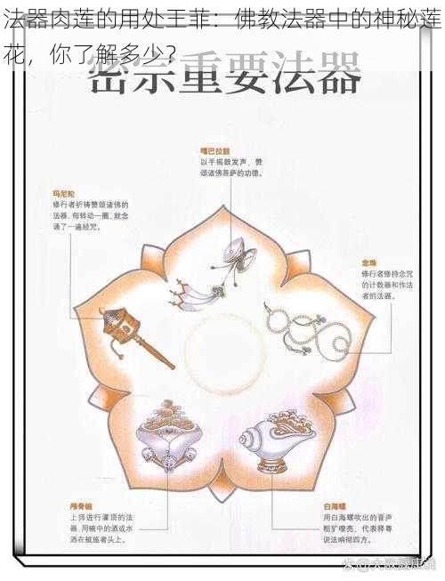 法器肉莲的用处王菲：佛教法器中的神秘莲花，你了解多少？