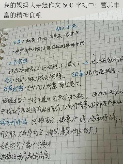 我的妈妈大杂烩作文 600 字初中：营养丰富的精神食粮