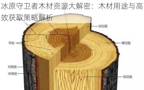 冰原守卫者木材资源大解密：木材用途与高效获取策略解析